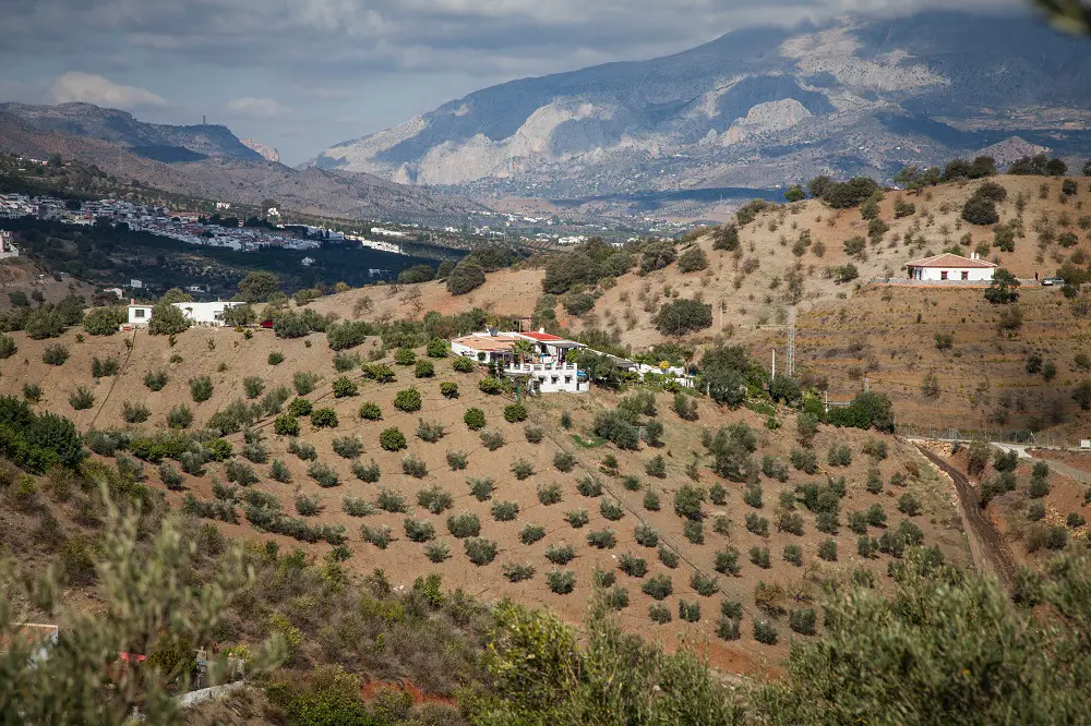 Casa Alora on Mountain