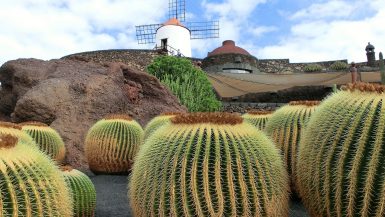 visit Cesar Manrique cactus garden an unusual thing to do when on holiday in Lanzarote
